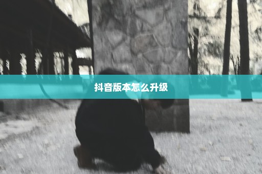 抖音版本怎么升级