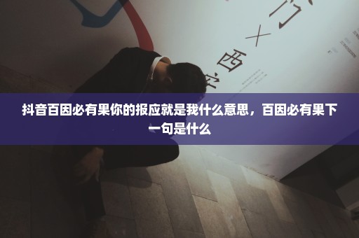抖音百因必有果你的报应就是我什么意思，百因必有果下一句是什么