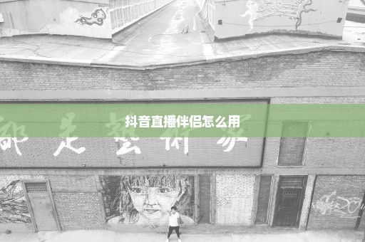 抖音直播伴侣怎么用