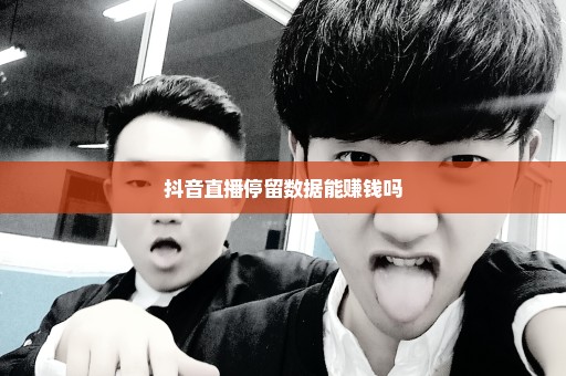 抖音直播停留数据能赚钱吗