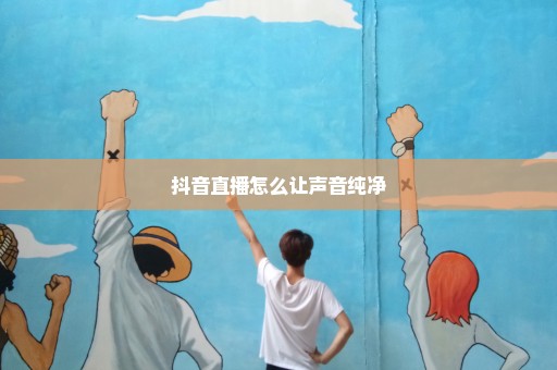抖音直播怎么让声音纯净