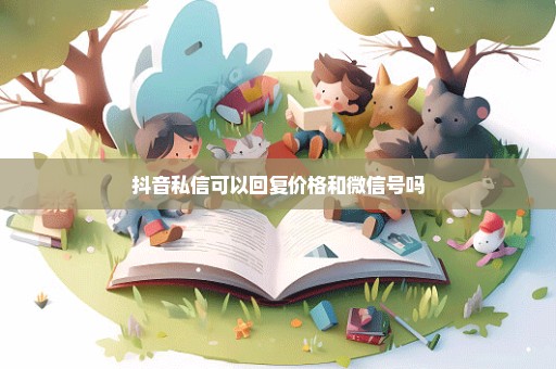 抖音私信可以回复价格和微信号吗
