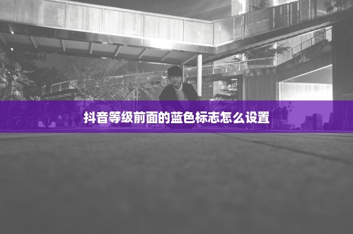 抖音等级前面的蓝色标志怎么设置