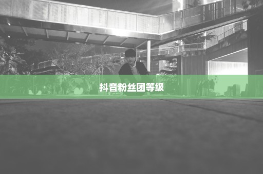 抖音粉丝团等级