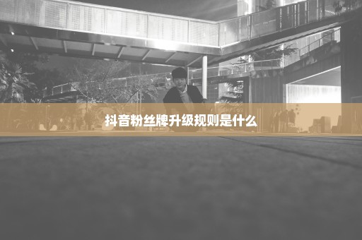 抖音粉丝牌升级规则是什么