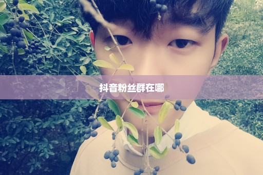 抖音粉丝群在哪