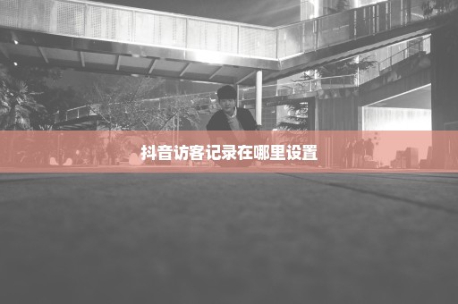 抖音访客记录在哪里设置