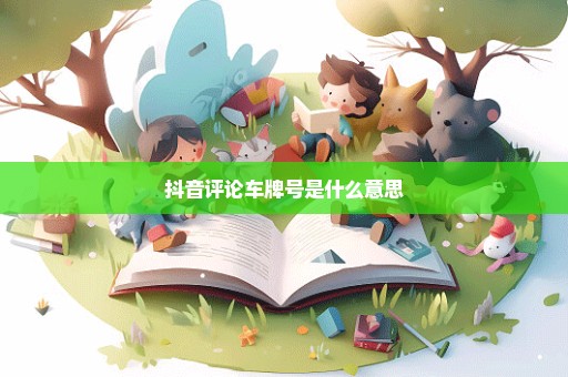 抖音评论车牌号是什么意思