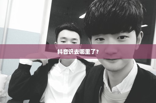抖音识去哪里了？