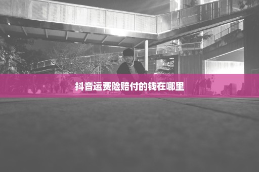 抖音运费险赔付的钱在哪里