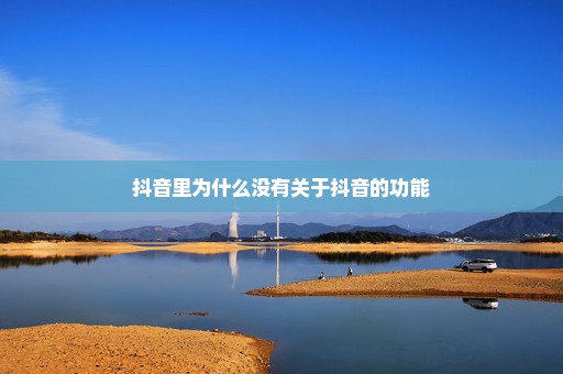 抖音里为什么没有关于抖音的功能