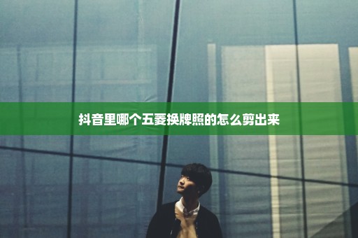 抖音里哪个五菱换牌照的怎么剪出来
