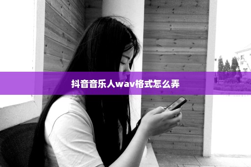 抖音音乐人wav格式怎么弄