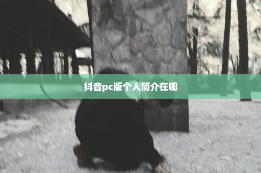 抖音pc版个人简介在哪