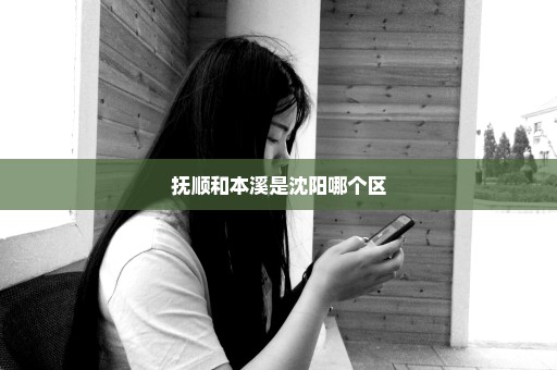 抚顺和本溪是沈阳哪个区