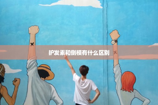 护发素和倒模有什么区别