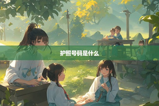 护照号码是什么