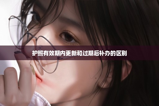 护照有效期内更新和过期后补办的区别