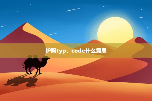 护照typ、code什么意思