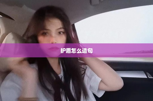 护盾怎么造句