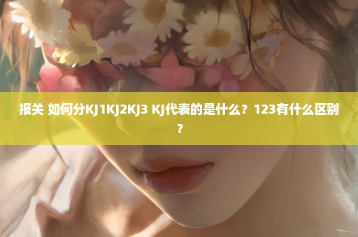 报关 如何分KJ1KJ2KJ3 KJ代表的是什么？123有什么区别？