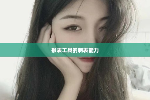 报表工具的制表能力