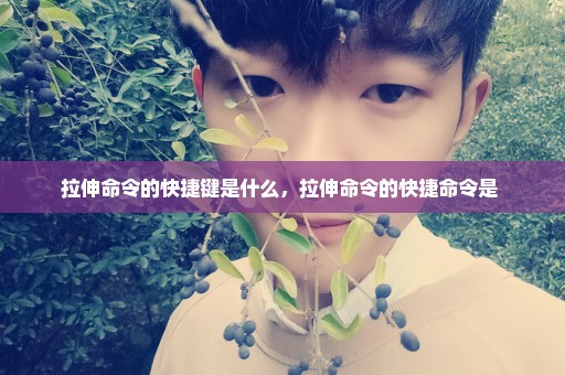 拉伸命令的快捷键是什么，拉伸命令的快捷命令是 