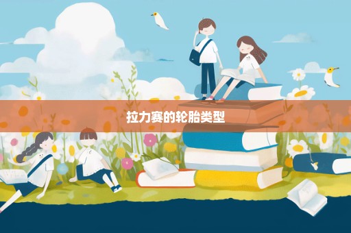 拉力赛的轮胎类型