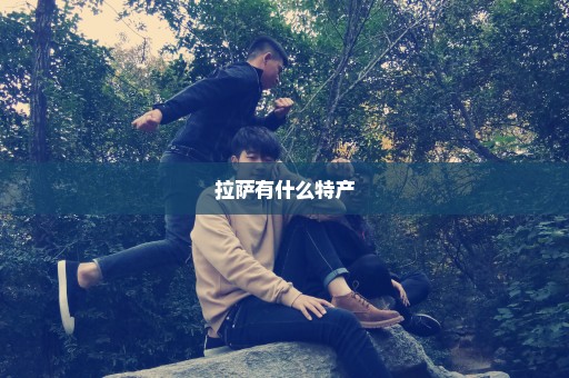 拉萨有什么特产