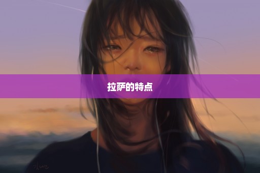 拉萨的特点