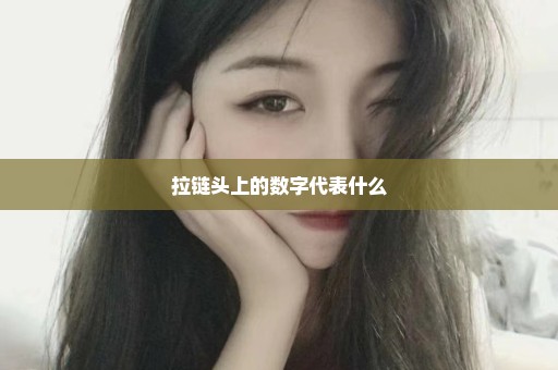 拉链头上的数字代表什么