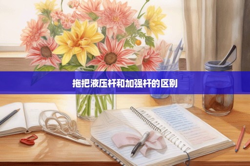 拖把液压杆和加强杆的区别