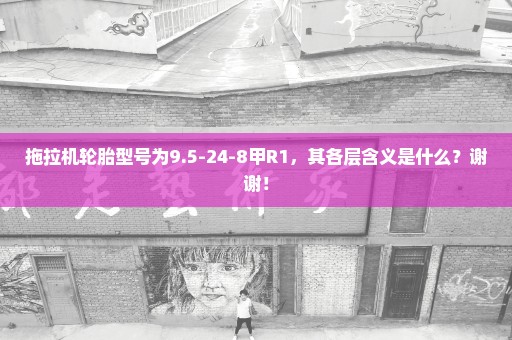 拖拉机轮胎型号为9.5-24-8甲R1，其各层含义是什么？谢谢！
