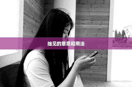 拙见的意思和用法