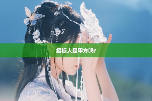 招标人是甲方吗?