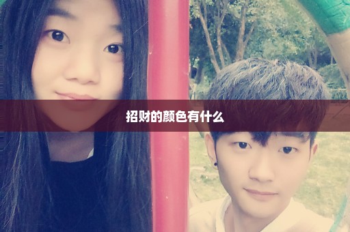 招财的颜色有什么