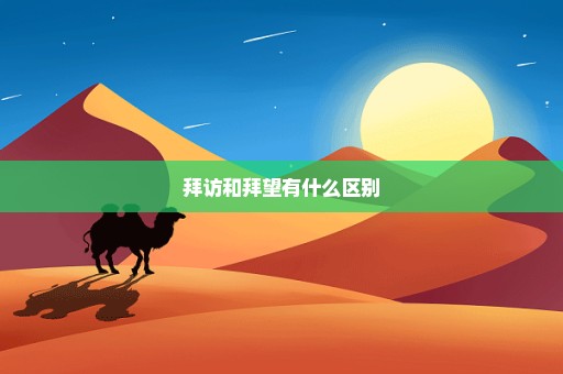 拜访和拜望有什么区别