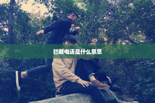 拦截电话是什么意思