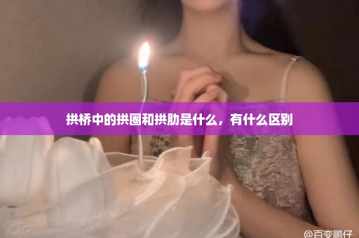 拱桥中的拱圈和拱肋是什么，有什么区别