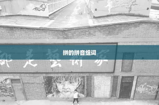 拼的拼音组词
