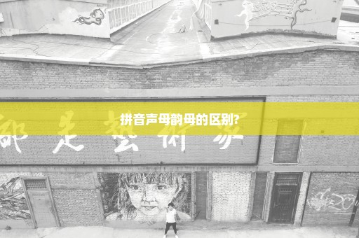 拼音声母韵母的区别?