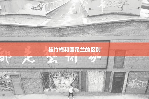 挂竹梅和画吊兰的区别