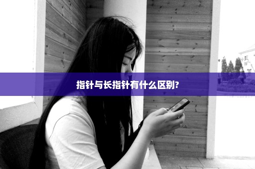 指针与长指针有什么区别?