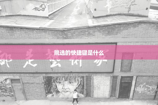 挑选的快捷键是什么