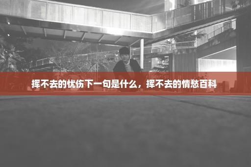 挥不去的忧伤下一句是什么，挥不去的情愁百科 