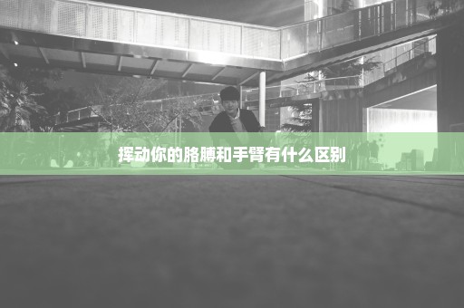挥动你的胳膊和手臂有什么区别