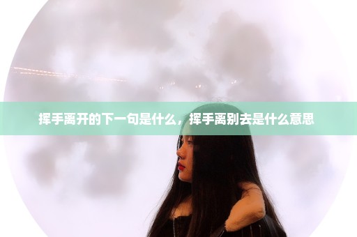 挥手离开的下一句是什么，挥手离别去是什么意思 