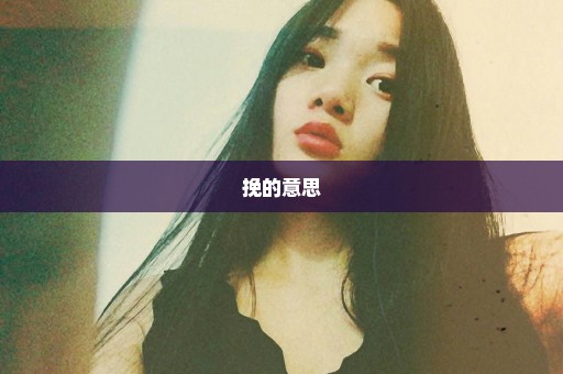 挽的意思