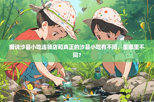 据说沙县小吃连锁店和真正的沙县小吃有不同，是哪里不同？
