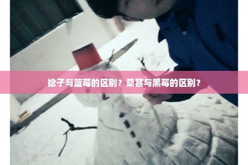 捻子与蓝莓的区别？桑葚与黑莓的区别？